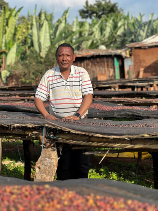 Light Roast - Ethiopia Single Farmer — Mr. Getaneh Girma, Idedo