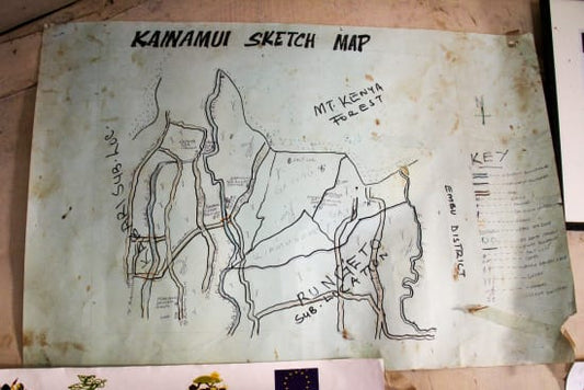 Medium Roast - Kenya Microlot — Kainamui AA, Kirinyaga